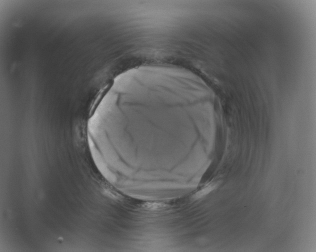 X0000066510528200604141751