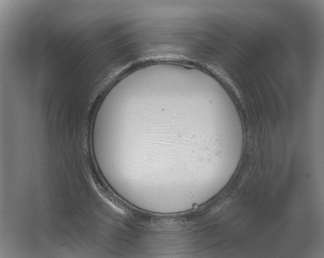 X0000066510533200604141750