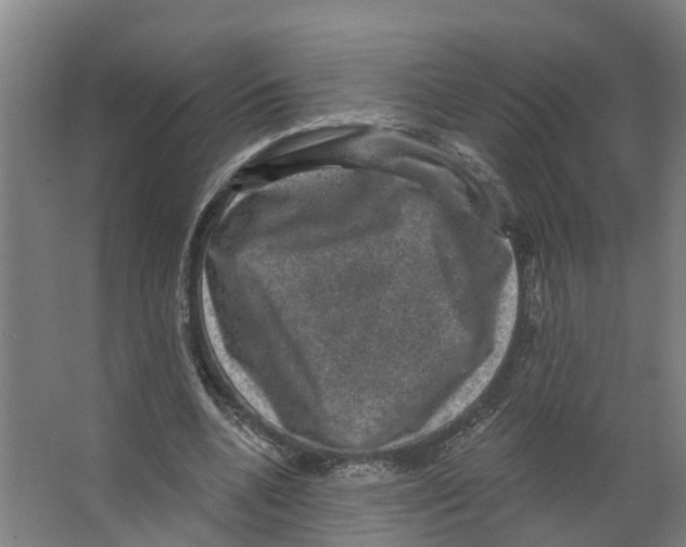 X0000066510536200604141750