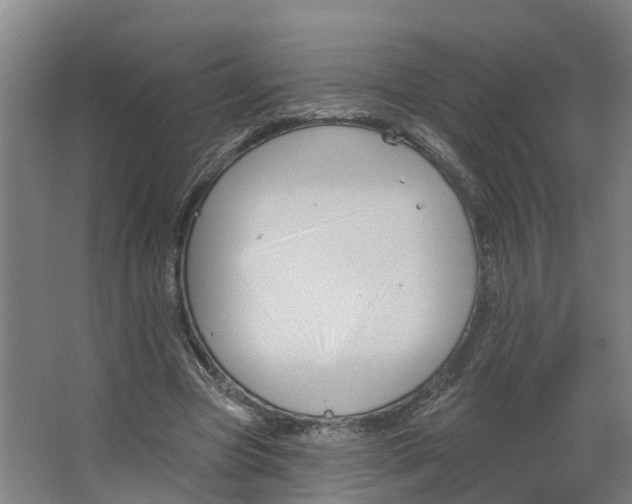 X0000066510537200604141750