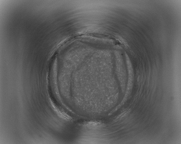 X0000066510542200604141751