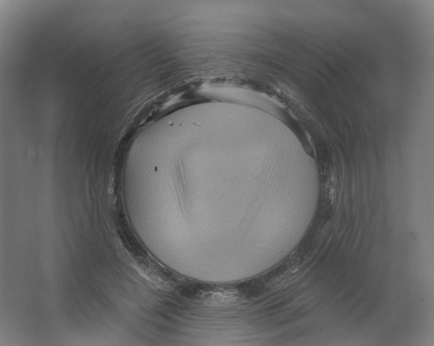 X0000066510548200604141751