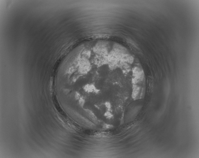 X0000066510550200604141751