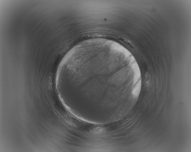 X0000066510551200604141751