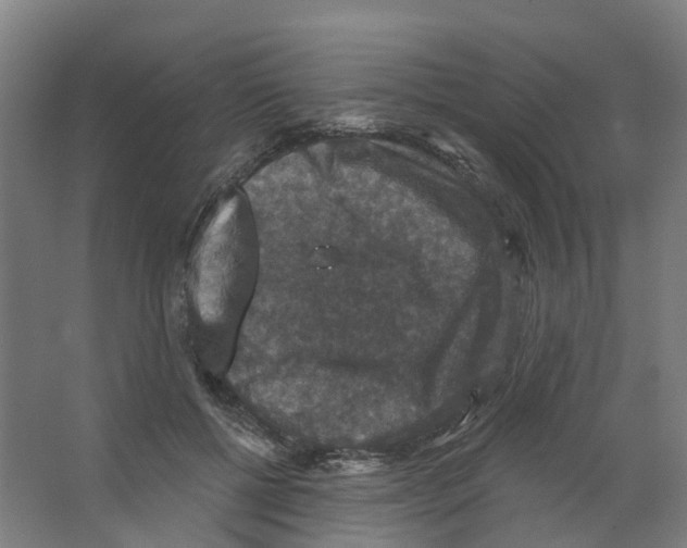 X0000066510552200604141751