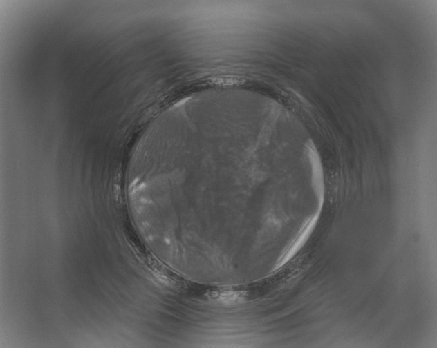 X0000066510553200604141751