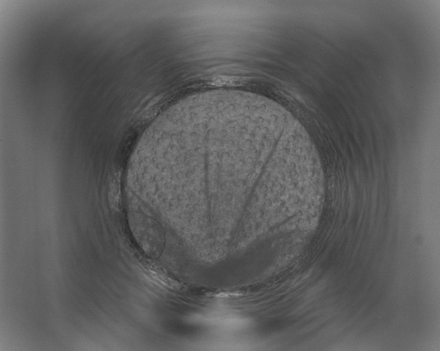 X0000066510554200604141751