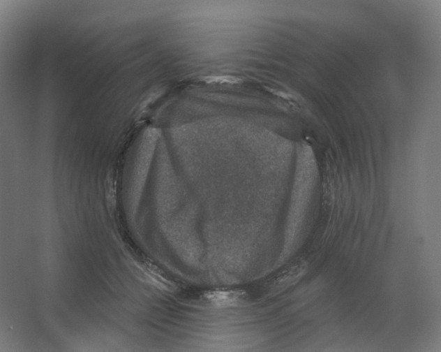 X0000066510558200604141751