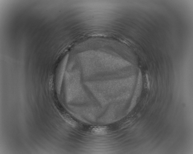 X0000066510560200604141751