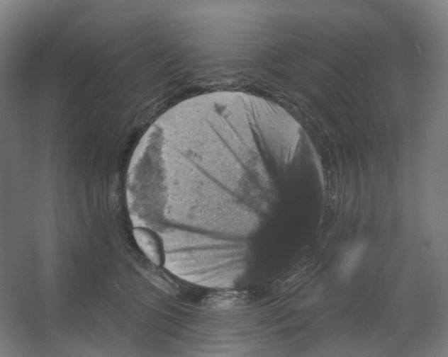 X0000066510563200604141751