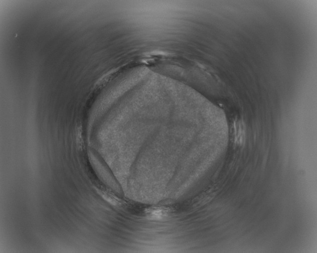 X0000066510564200604141751