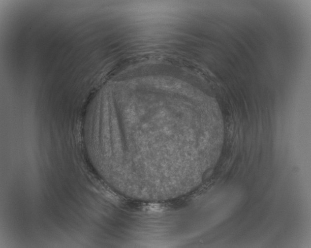 X0000066510565200604141751