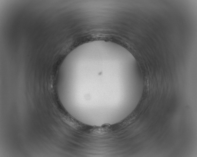 X0000066510567200604141751