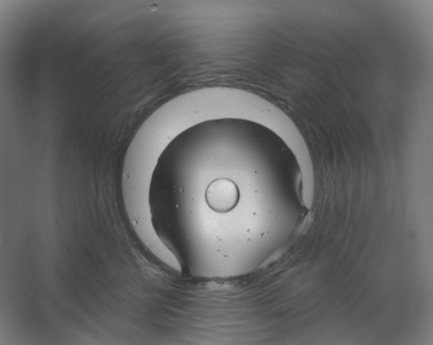 X0000066510570200604141751