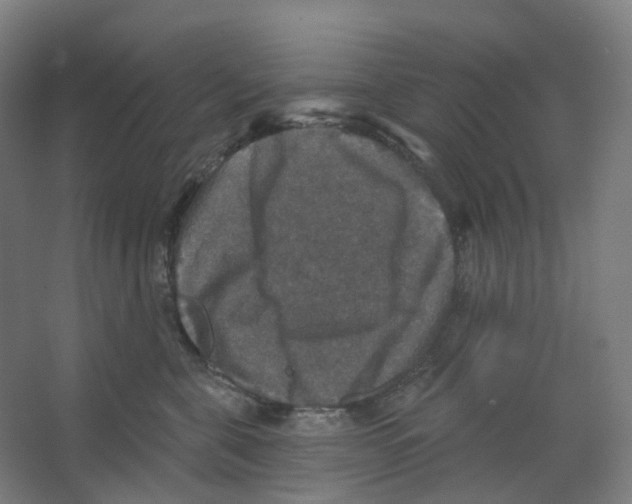 X0000066510571200604141751