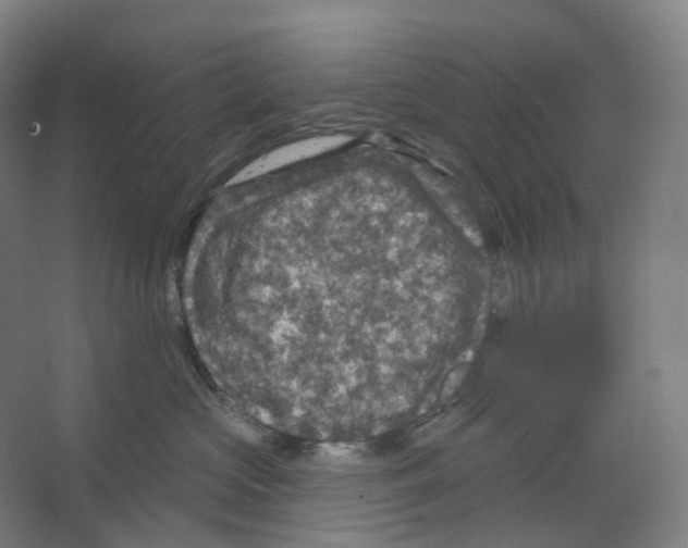 X0000066510573200604141751