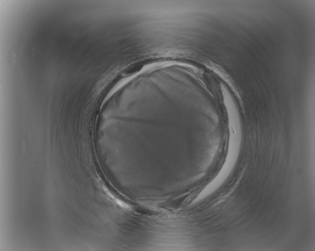X0000066510577200604141750