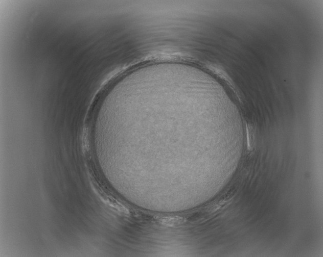X0000066510579200604141750