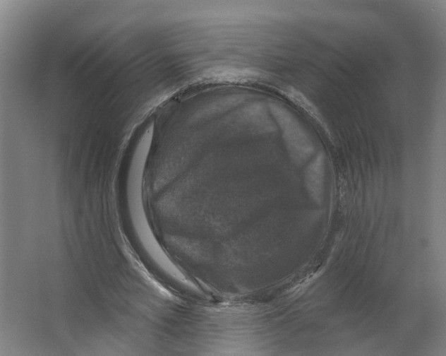 X0000066510581200604141750