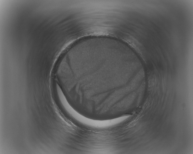 X0000066510584200604141750