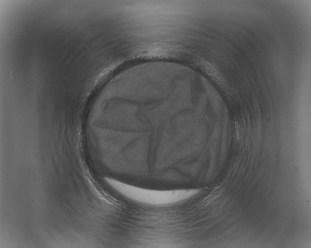 X0000066510588200604141750