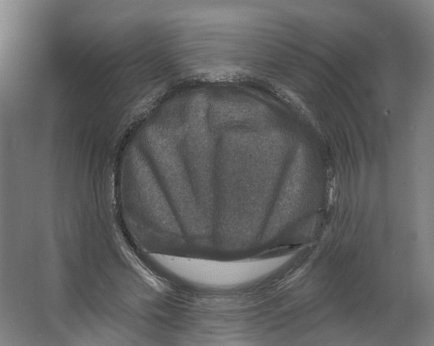 X0000066510589200604141750