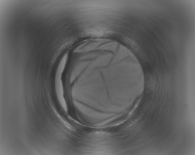 X0000066510590200604141750