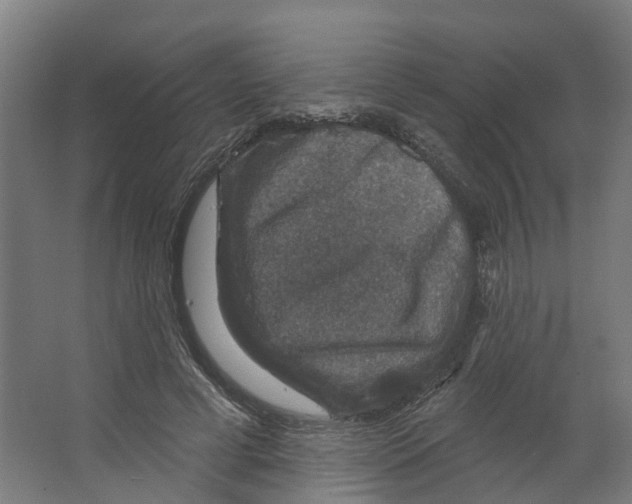 X0000066510593200604141750