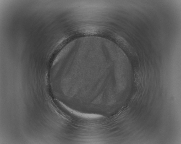 X0000066510596200604141750