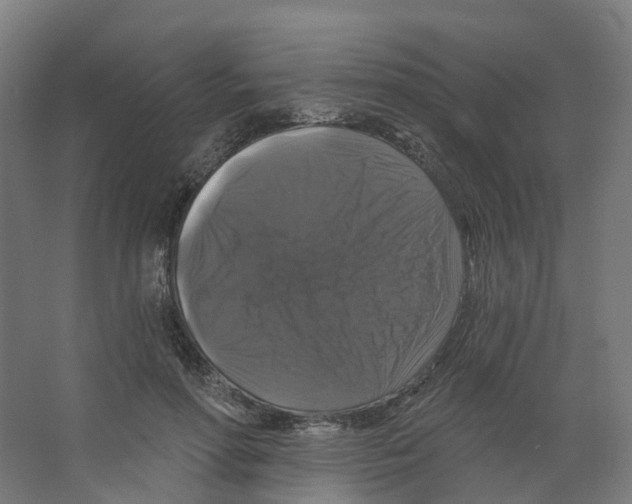 X0000066510598200604141750