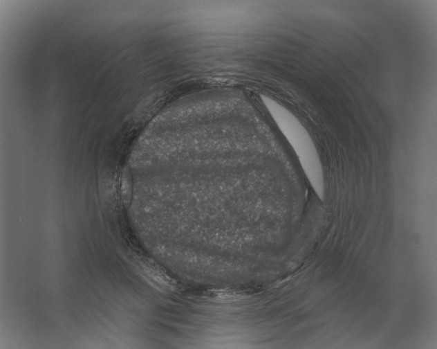 X0000066510601200604141750