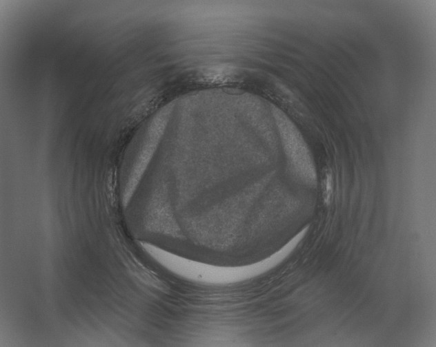 X0000066510605200604141750