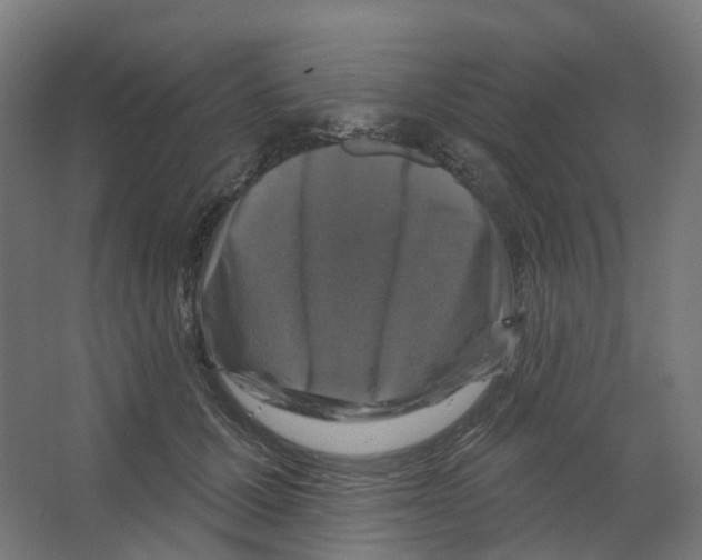 X0000066510607200604141750