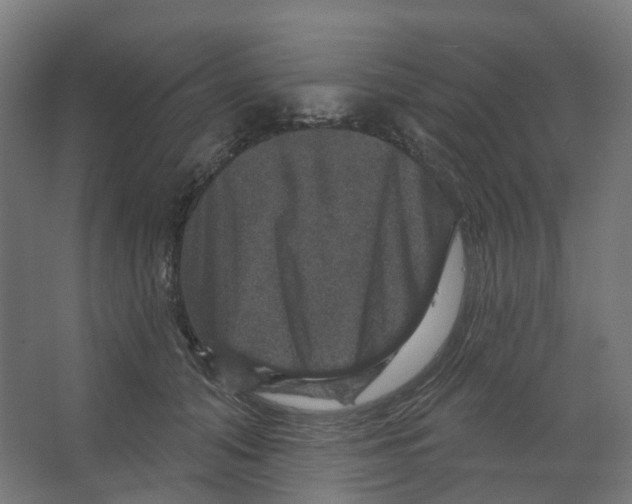 X0000066510608200604141750