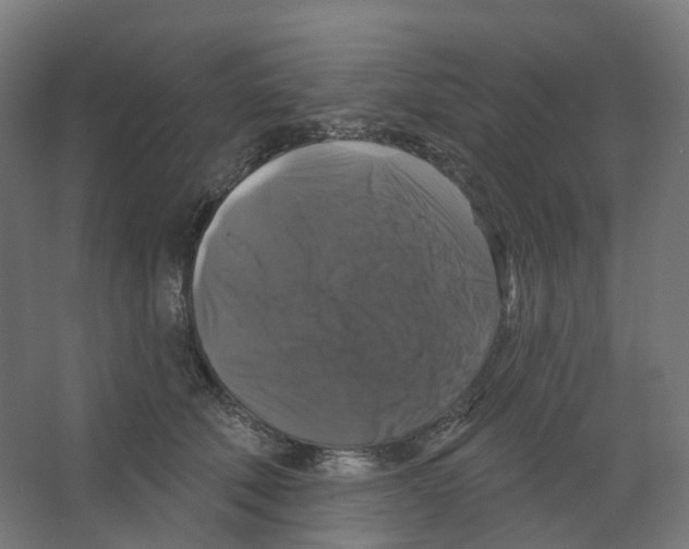 X0000066510610200604141750
