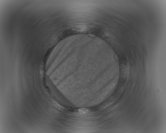 X0000066510612200604141750