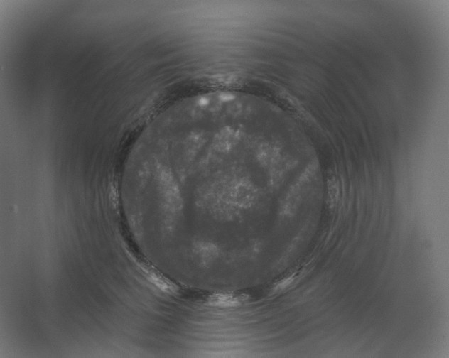 X0000066510613200604141750