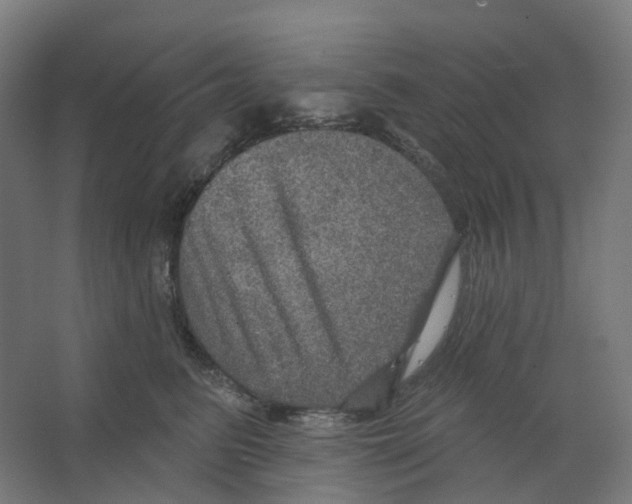 X0000066510615200604141750