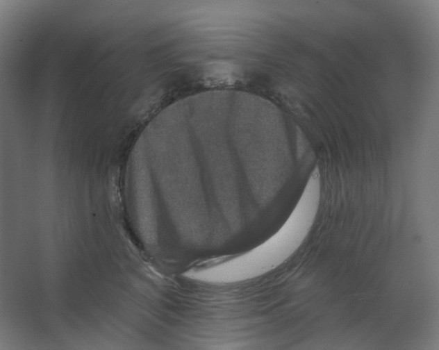 X0000066510616200604141750