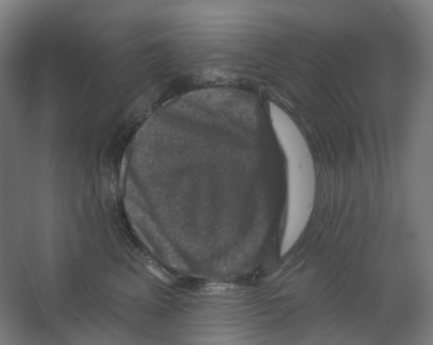 X0000066510617200604141750
