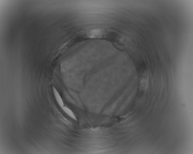 X0000066510620200604141750