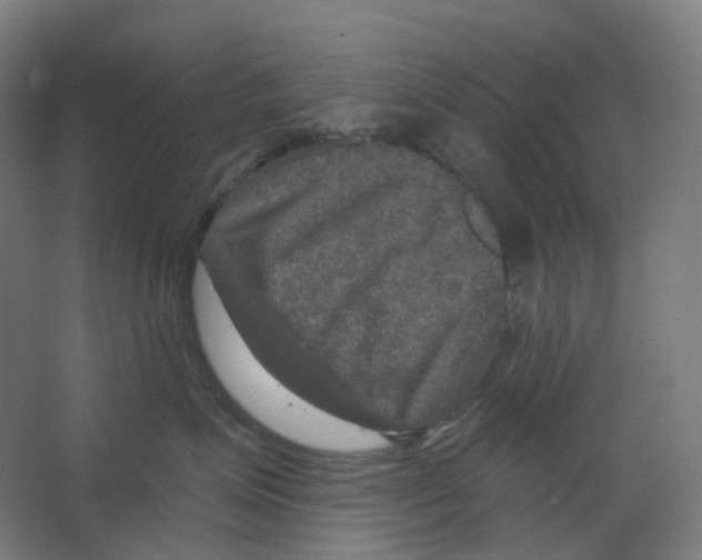 X0000066510623200604141750