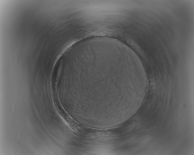 X0000066510626200604141749
