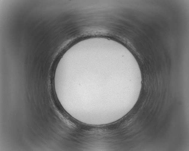 X0000066510629200604141749