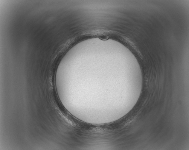 X0000066510633200604141749