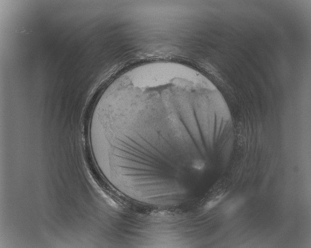 X0000066510634200604141749