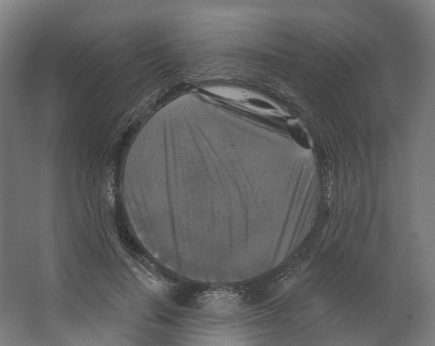 X0000066510644200604141749