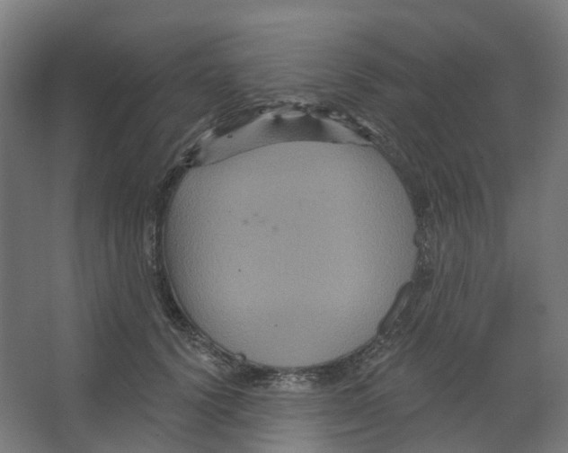 X0000066510656200604141749