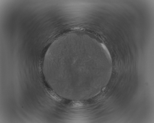 X0000066510658200604141749
