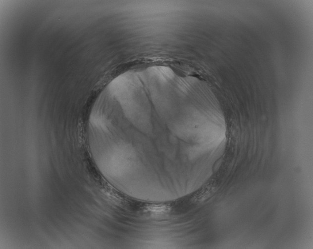 X0000066510659200604141749